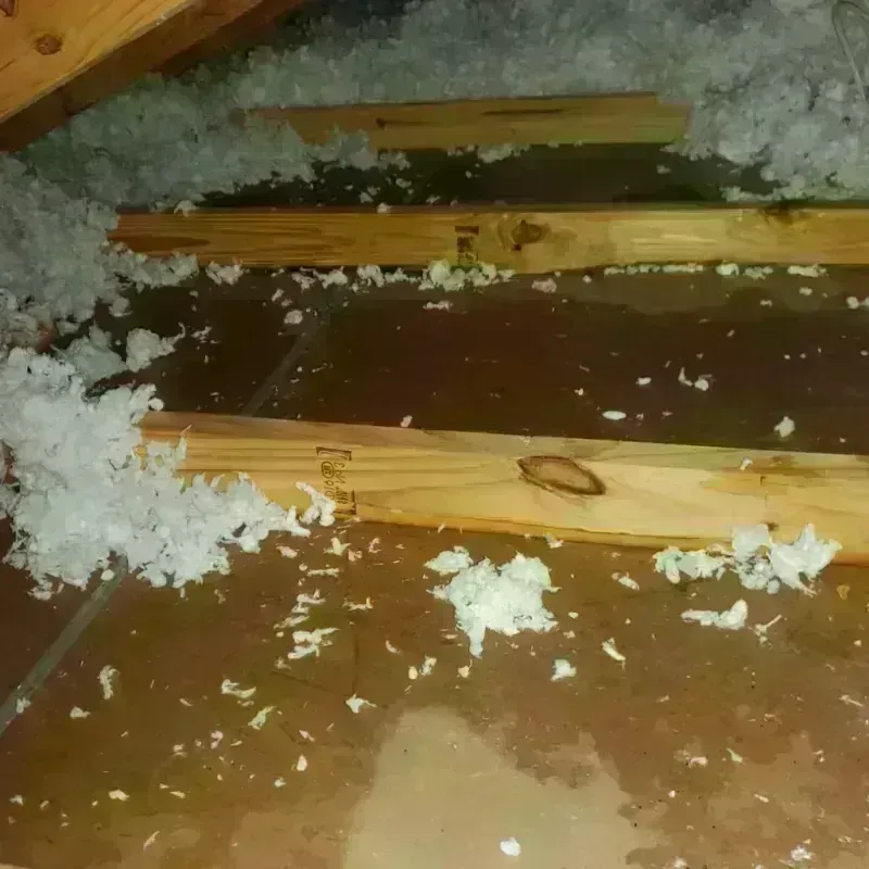 Attic Water Damage in Clark, SD