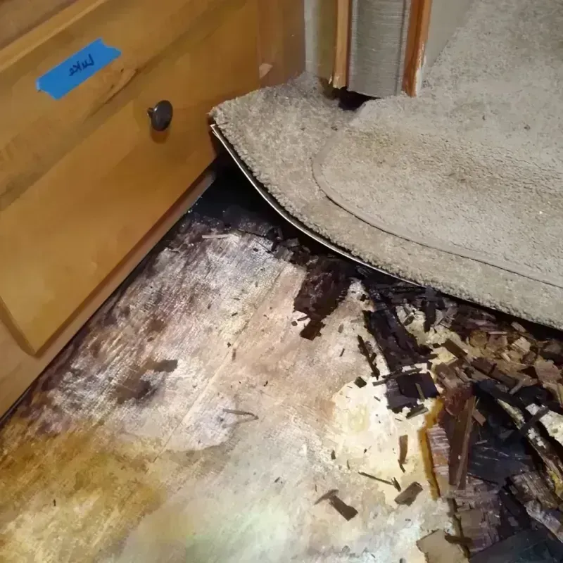 Wood Floor Water Damage in Clark, SD